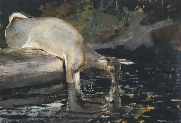 Deer Drinking (mk44), Winslow Homer